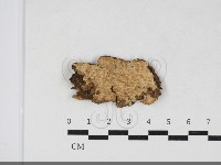 登錄號:F0034106藏品圖，第1張