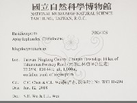 登錄號:F0034109藏品圖，第2張