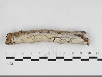 登錄號:F0034110藏品圖，第1張