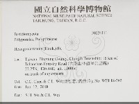 登錄號:F0034111藏品圖，第2張