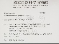 登錄號:F0034113藏品圖，第2張