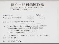 登錄號:F0034114藏品圖，第2張