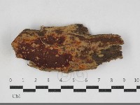 登錄號:F0034114藏品圖，第1張