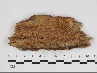 登錄號:F0034115藏品圖，第1張