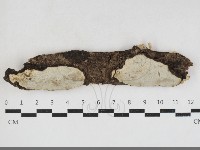 登錄號:F0034117藏品圖，第1張