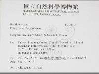 登錄號:F0034118藏品圖，第2張