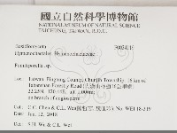 登錄號:F0034119藏品圖，第2張