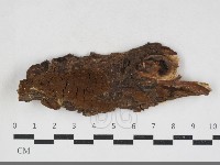 登錄號:F0034119藏品圖，第1張