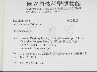刺皮菌屬藏品圖，第2張