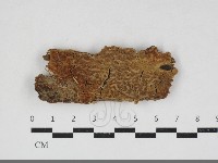 登錄號:F0034126藏品圖，第1張