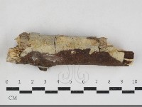 登錄號:F0034127藏品圖，第1張