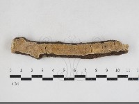 登錄號:F0034128藏品圖，第1張