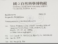 登錄號:F0034129藏品圖，第2張