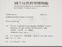 刺革菌屬藏品圖，第2張