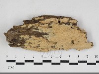 登錄號:F0034133藏品圖，第3張