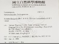 登錄號:F0034134藏品圖，第2張