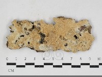 登錄號:F0034134藏品圖，第1張