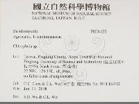 登錄號:F0034135藏品圖，第2張
