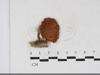 登錄號:F0034136藏品圖，第1張