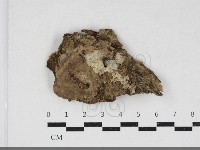 登錄號:F0034141藏品圖，第1張