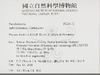 登錄號:F0034142藏品圖，第2張