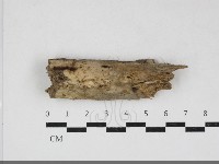 登錄號:F0034142藏品圖，第1張