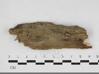 登錄號:F0034143藏品圖，第1張