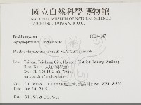 登錄號:F0034147藏品圖，第2張