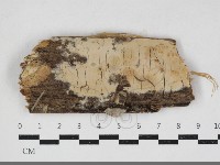 登錄號:F0034149藏品圖，第1張