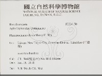 登錄號:F0034150藏品圖，第2張