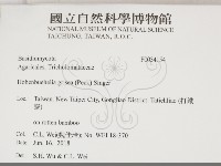 登錄號:F0034154藏品圖，第2張