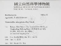 登錄號:F0034155藏品圖，第2張