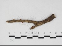 登錄號:F0034155藏品圖，第1張