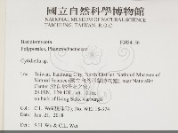 登錄號:F0034156藏品圖，第2張