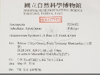 登錄號:F0034160藏品圖，第2張