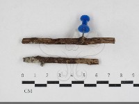 登錄號:F0034162藏品圖，第1張