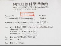 登錄號:F0034163藏品圖，第2張