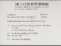 登錄號:F0034164藏品圖，第2張