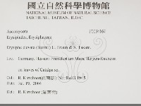 登錄號:F0034167藏品圖，第2張