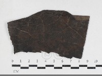 登錄號:F0034167藏品圖，第1張