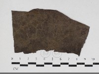 登錄號:F0034167藏品圖，第3張