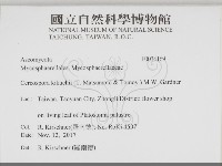 登錄號:F0034169藏品圖，第2張