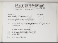 登錄號:F0034170藏品圖，第2張