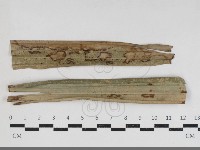 登錄號:F0034172藏品圖，第1張