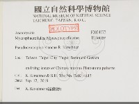 登錄號:F0034173藏品圖，第2張