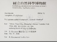 登錄號:F0034176藏品圖，第2張