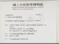 登錄號:F0034178藏品圖，第2張