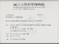 館號:F0034181藏品圖，第2張