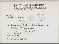 登錄號:F0034182藏品圖，第2張