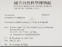 登錄號:F0034183藏品圖，第2張